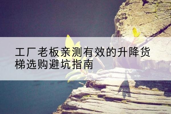 德阳升降货梯怎么选-工厂老板亲测有效的升降货梯选购避坑指南