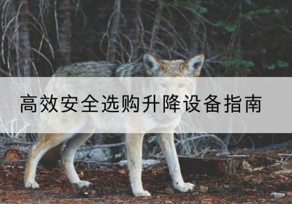 德阳升降货梯厂家推荐-*安全选购升降设备指南