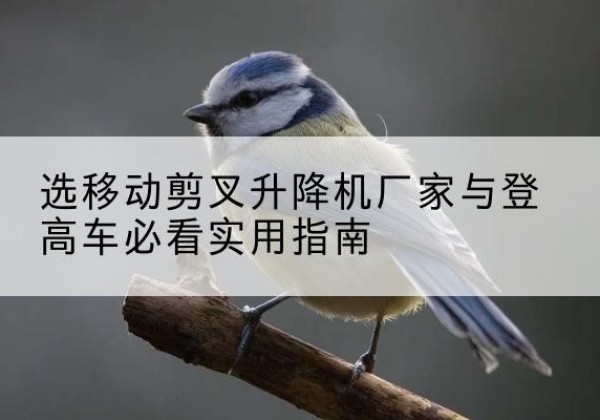 德阳电动升降机厂家-选移动剪叉升降机厂家与登高车必看实用指南
