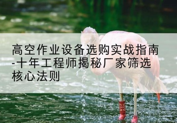 德阳剪叉式升降机厂家-高空作业设备选购实战指南-十年工程师揭秘厂家筛选核心法则